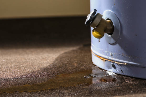 Trusted HI Water damage restoration Experts