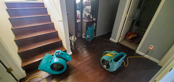 Best Residential water damage restoration  in Hanamaulu, HI