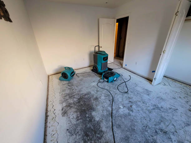 Best Flooded house restoration  in Hanamaulu, HI
