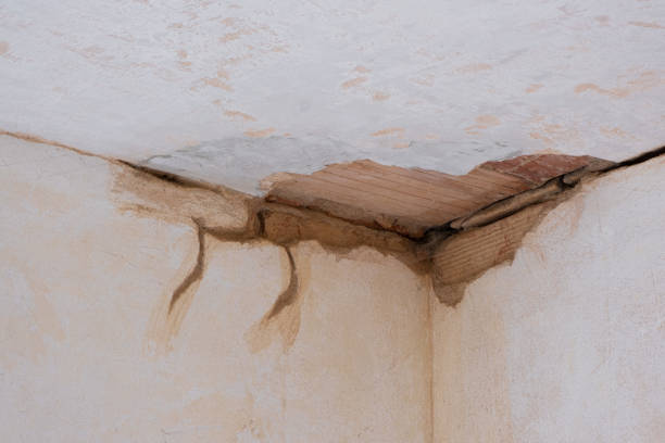 Best Water damage contractors near me  in Hanamaulu, HI