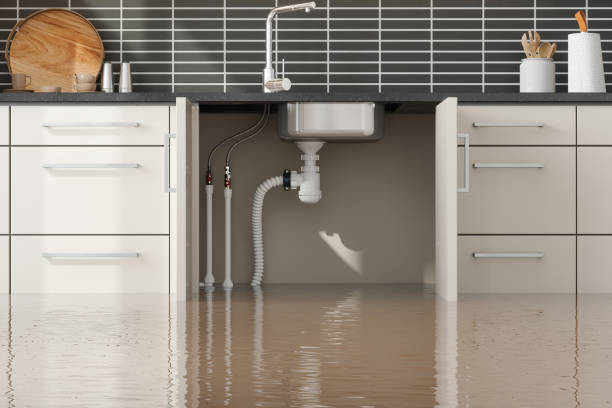 Best Professional water damage repair  in Hanamaulu, HI
