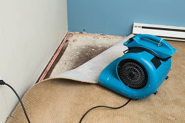  Hanamaulu, HI Water damage restoration Pros